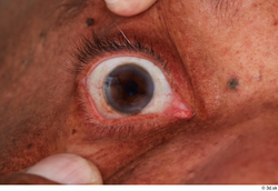 Man Black Eye Textures